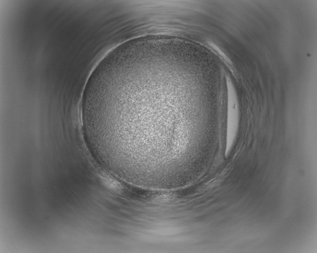 X0000071950891200607212223