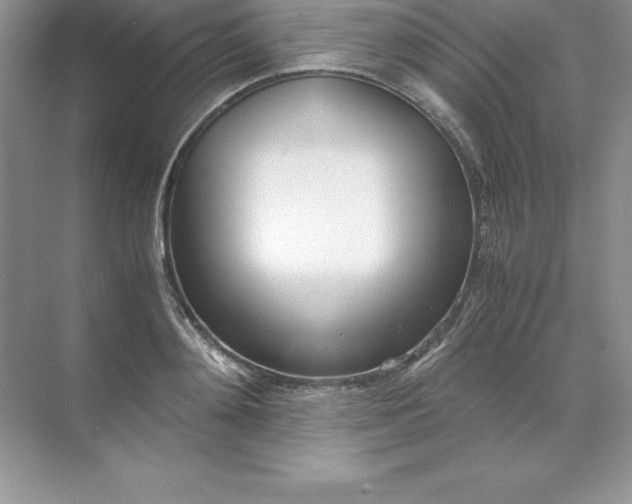 X0000071950892200607212223