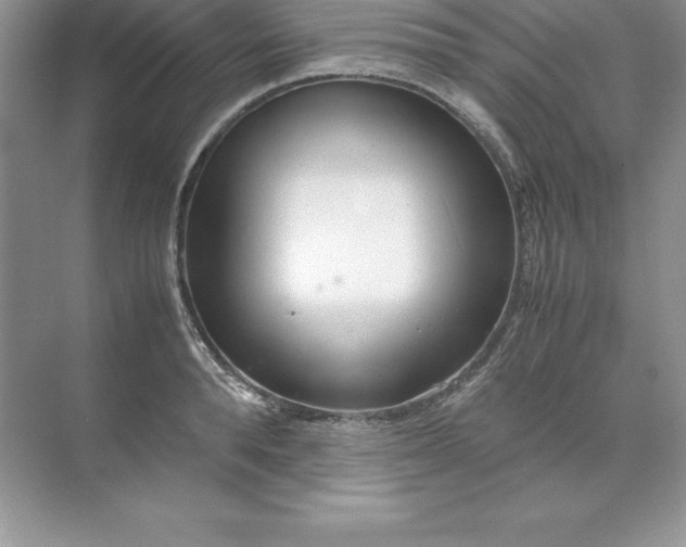 X0000071950896200607212223