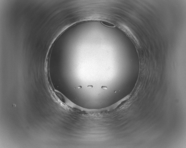 X0000071950900200607212223