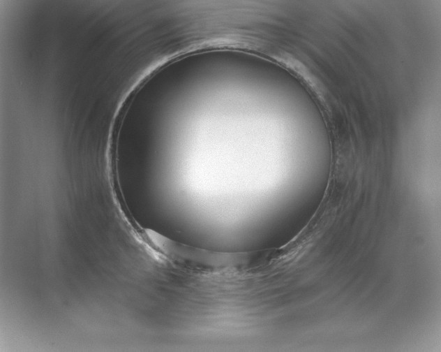 X0000071950902200607212223