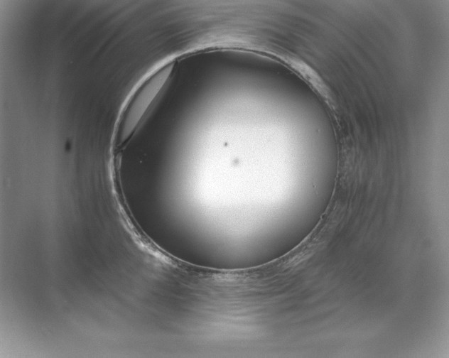 X0000071950904200607212223