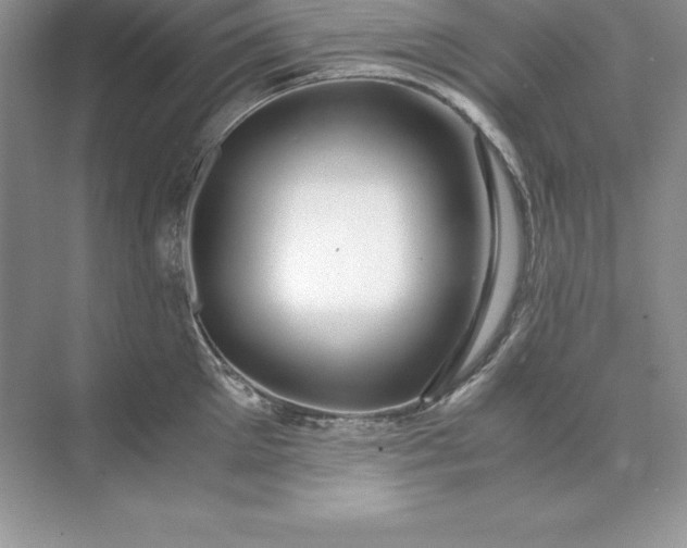 X0000071950905200607212223