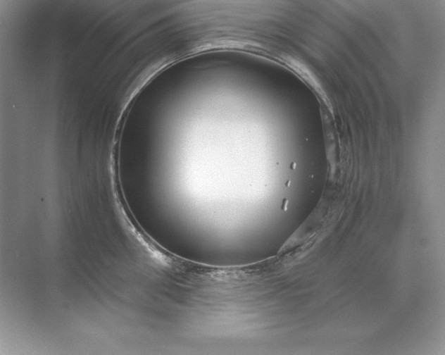 X0000071950906200607212223