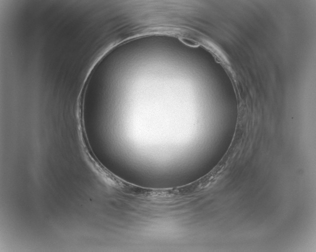 X0000071950907200607212223