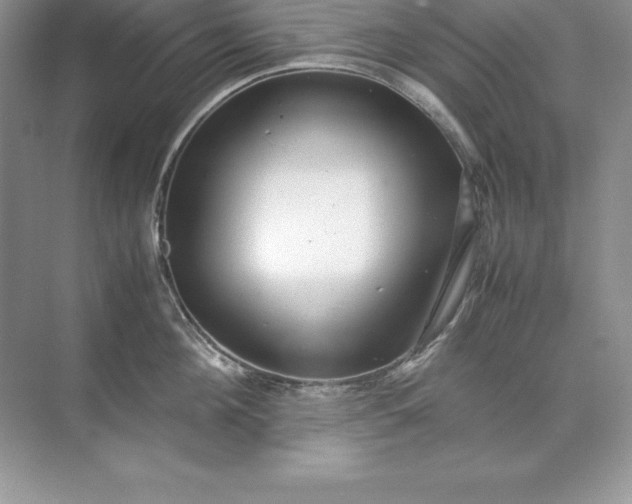 X0000071950908200607212223