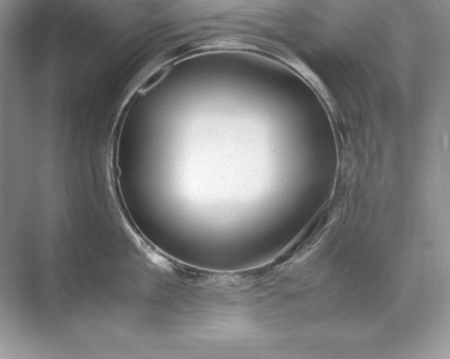 X0000071950909200607212223