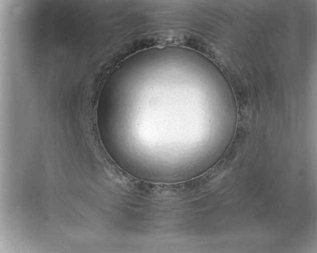 X0000071950913200607212222