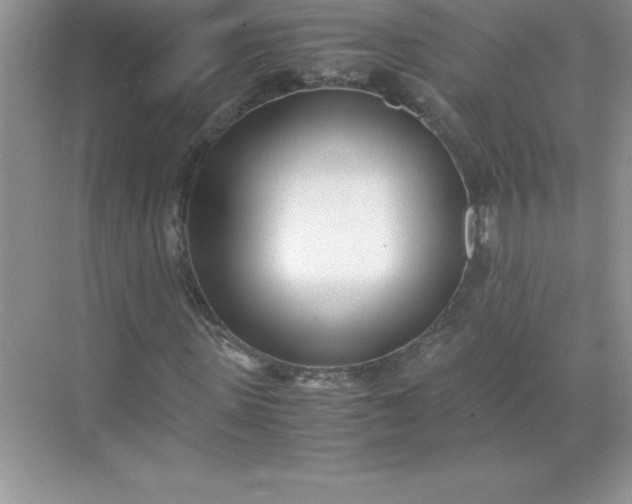 X0000071950915200607212222