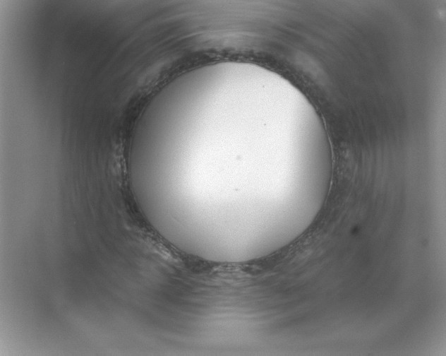 X0000071950918200607212222