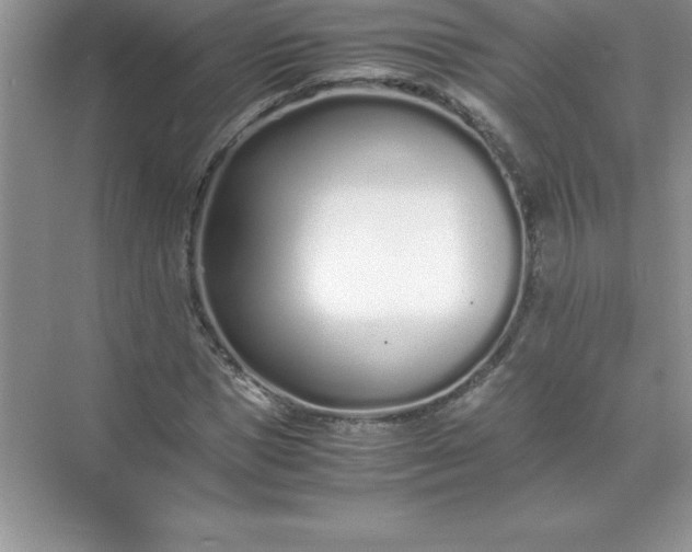 X0000071950921200607212222