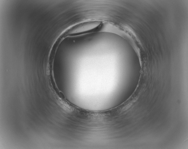 X0000071950924200607212222