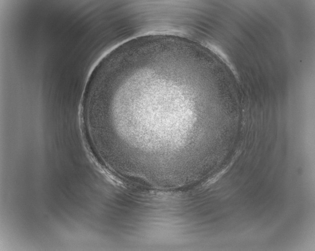 X0000071950928200607212222