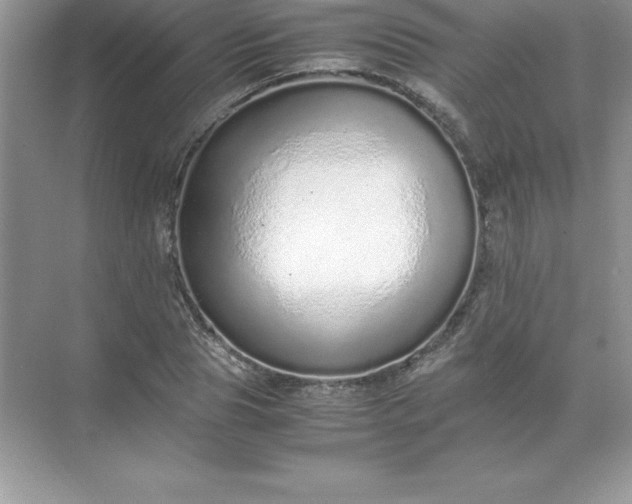 X0000071950929200607212222