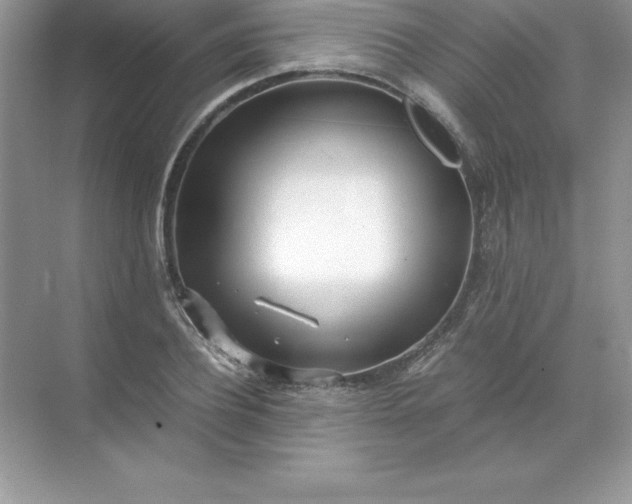 X0000071950932200607212223