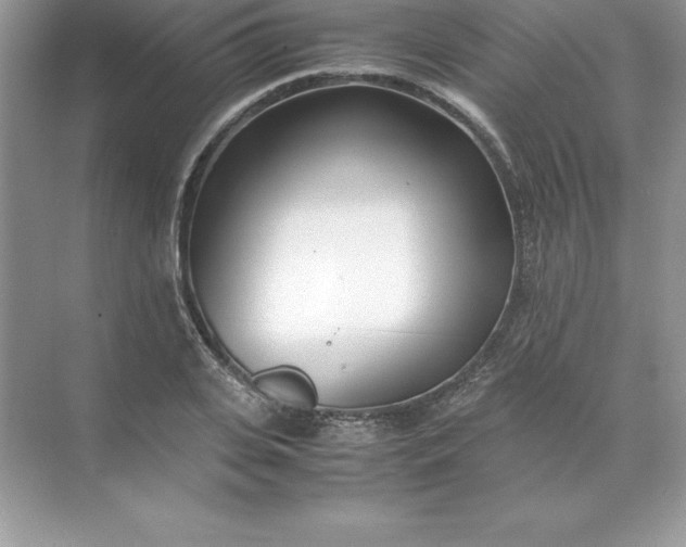 X0000071950935200607212223