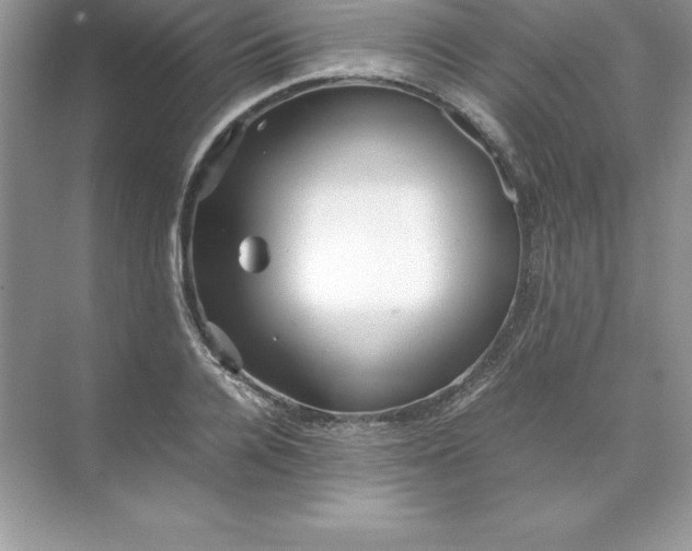 X0000071950936200607212223