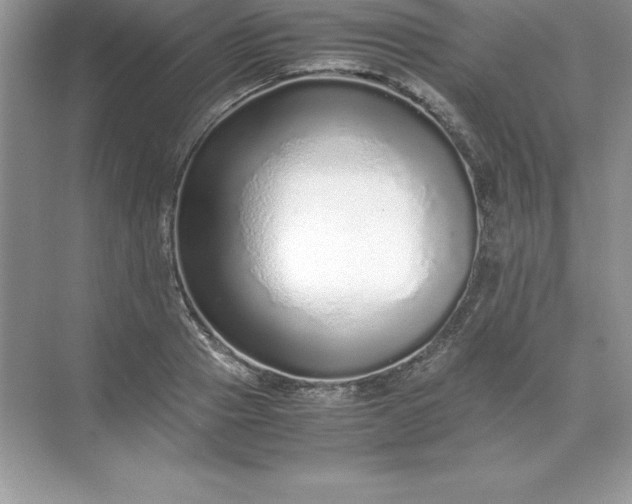 X0000071950937200607212223