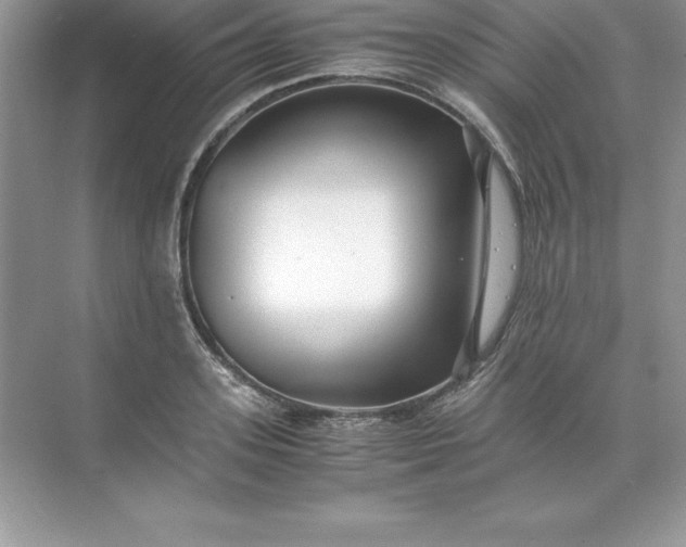 X0000071950939200607212223