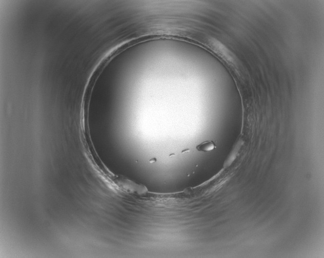 X0000071950940200607212223