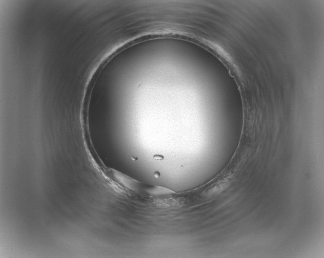 X0000071950943200607212223