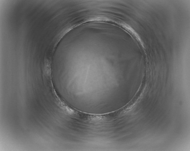 X0000071950945200607212223