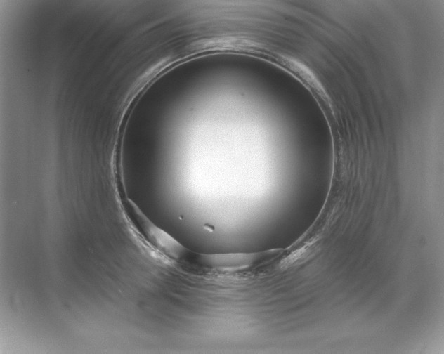 X0000071950946200607212223