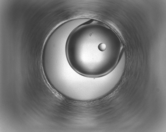 X0000071950948200607212223