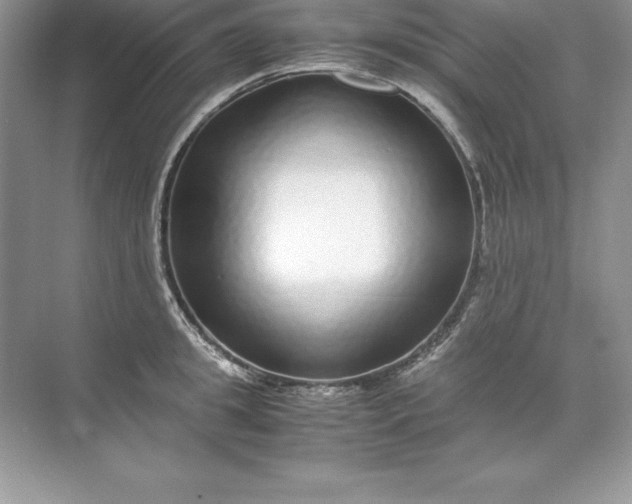 X0000071950949200607212223