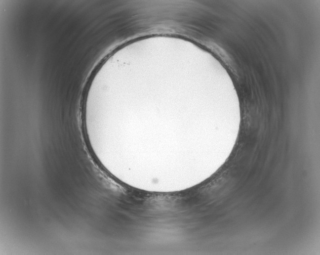 X0000071950950200607212223