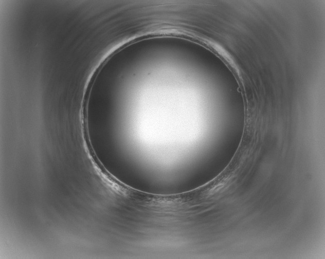 X0000071950951200607212223