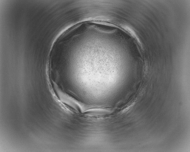 X0000071950952200607212223