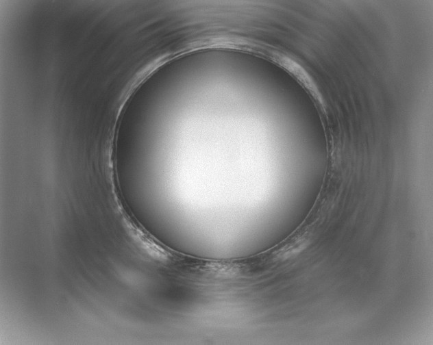 X0000071950954200607212223