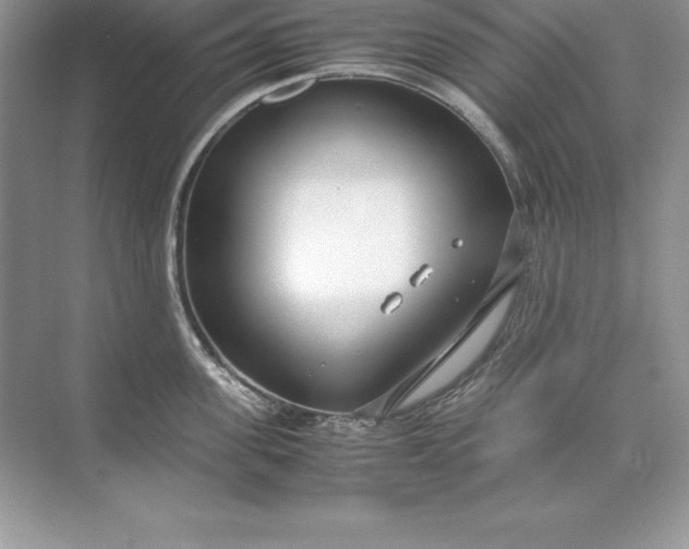 X0000071950955200607212223