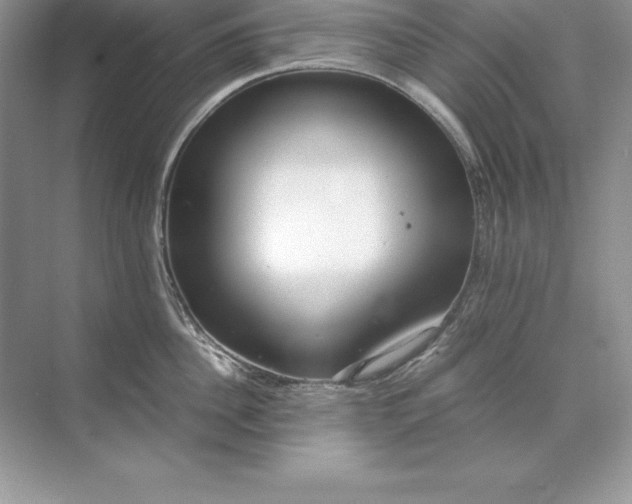 X0000071950956200607212223