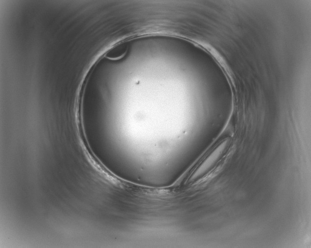 X0000071950957200607212223