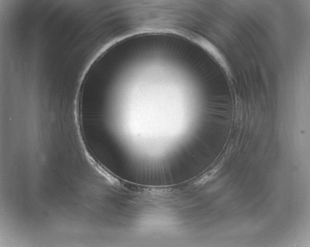 X0000071950958200607212223