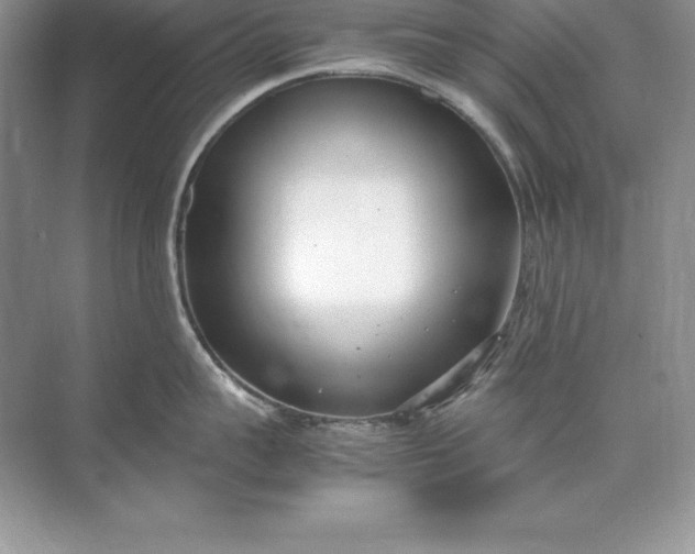 X0000071950959200607212223