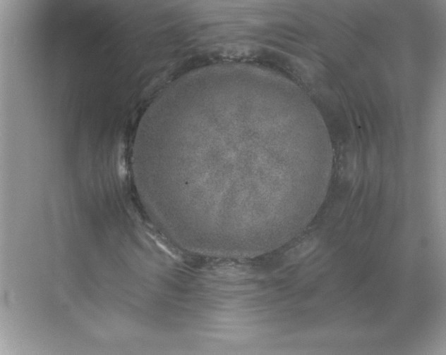 X0000071950962200607212222