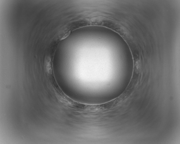 X0000071950963200607212222