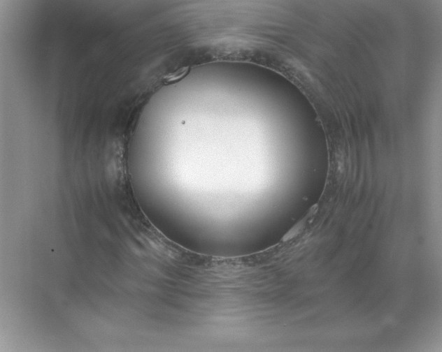 X0000071950964200607212222