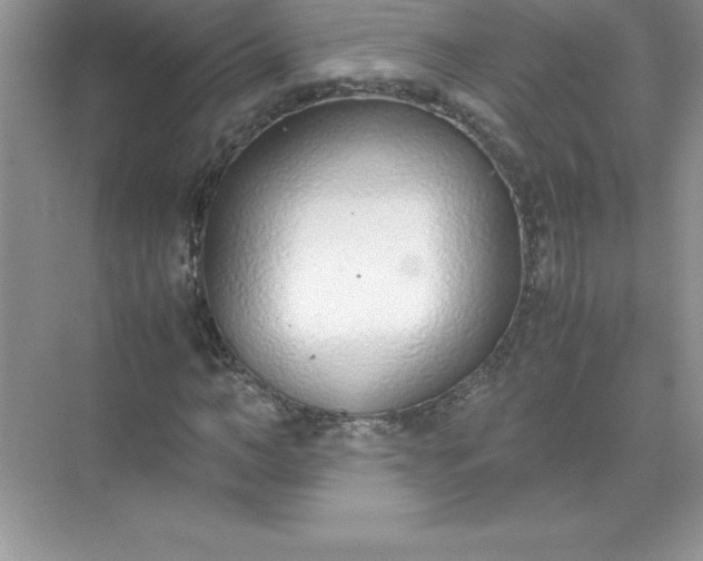 X0000071950966200607212222