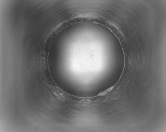 X0000071950968200607212222