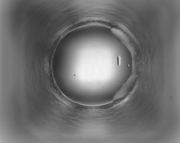 X0000071950969200607212222