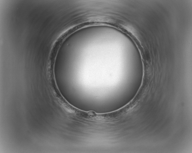 X0000071950971200607212222