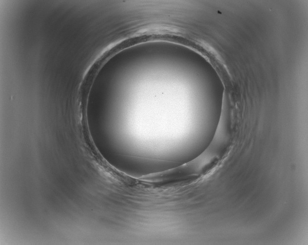 X0000071950973200607212222