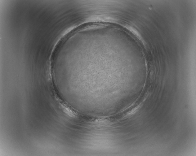 X0000071950974200607212222