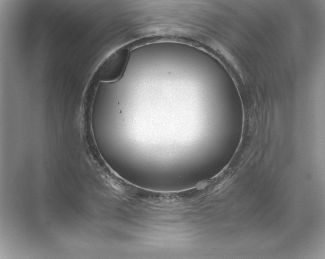 X0000071950975200607212222