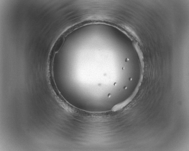 X0000071950976200607212222