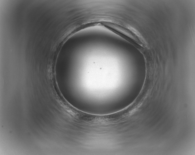 X0000071950977200607212222